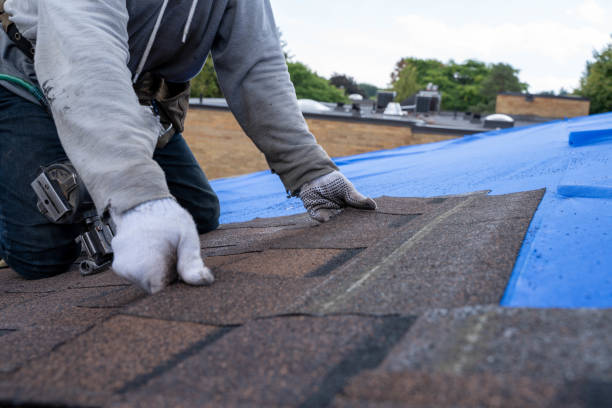 Best Roof Maintenance Services  in Brooktrails, CA